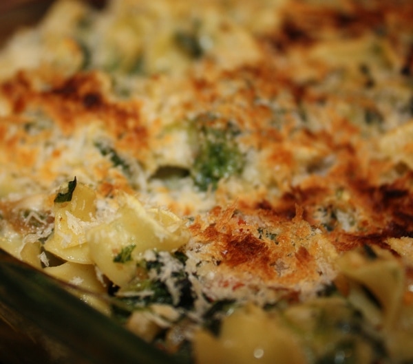 panko crumbs on Spinach and egg noodle casserole