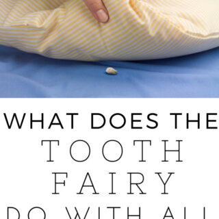 what does the tooth fairy do with teeth