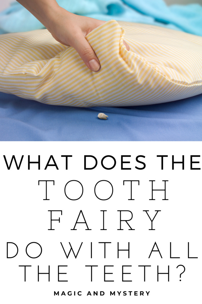 what-does-the-tooth-fairy-do-with-the-teeth