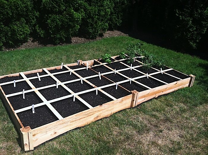What Is Square Foot Gardening? Check Out My Backyard Vegetable Garden!