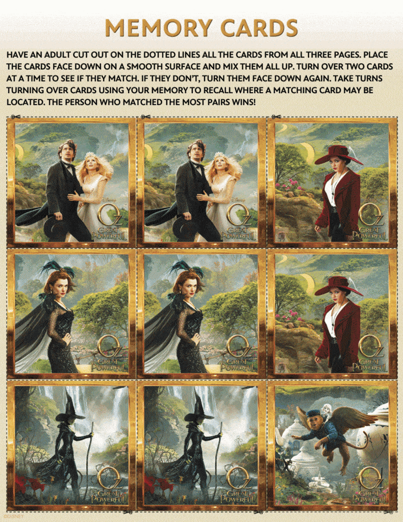 OTGAP_memory_cards 2