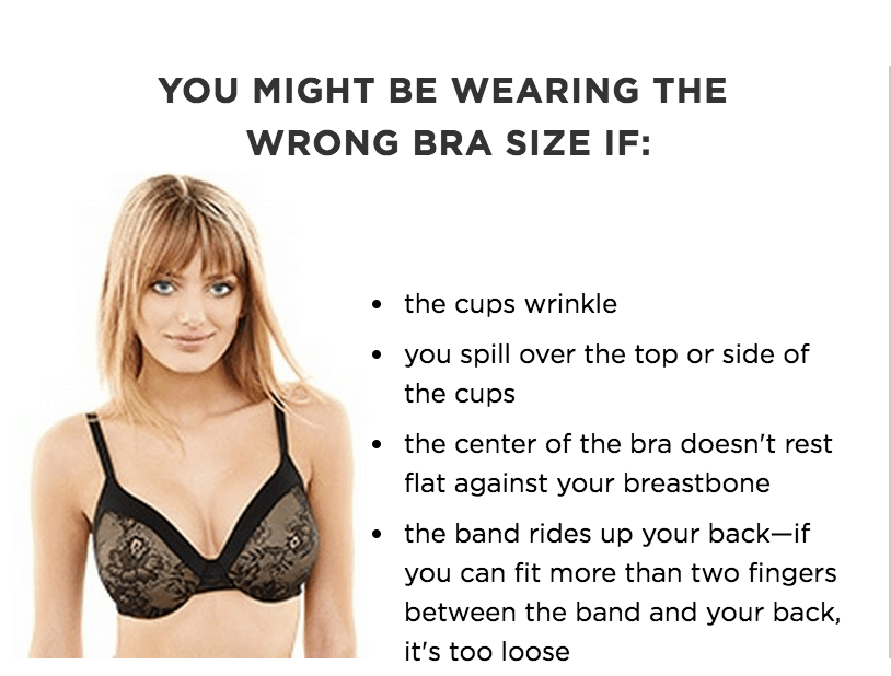 FREE $15 to Spend on Bras and Underwear at Kohl's (New TCB Members!)