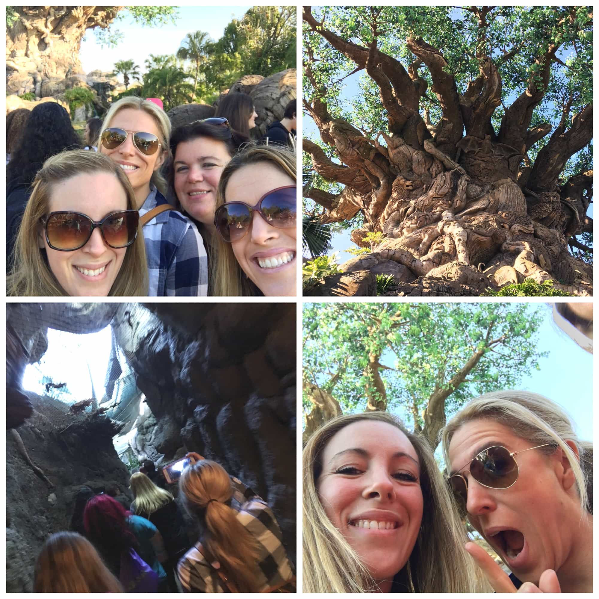 Have A Wild Time At Animal Kingdom With The Family #ZooTopiaEvent