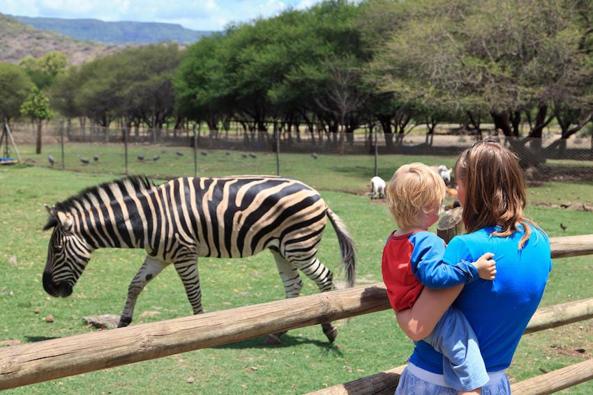 Weekend Day Trips Your Kids Will Love