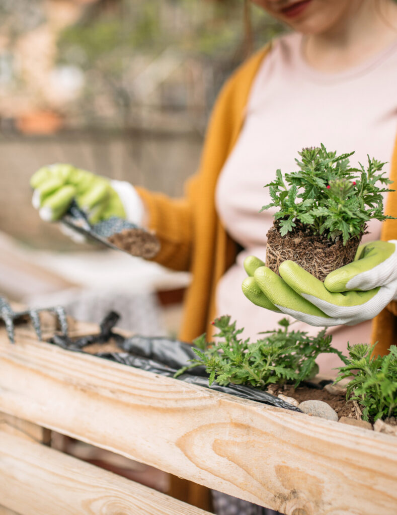 100 questions to ask myself