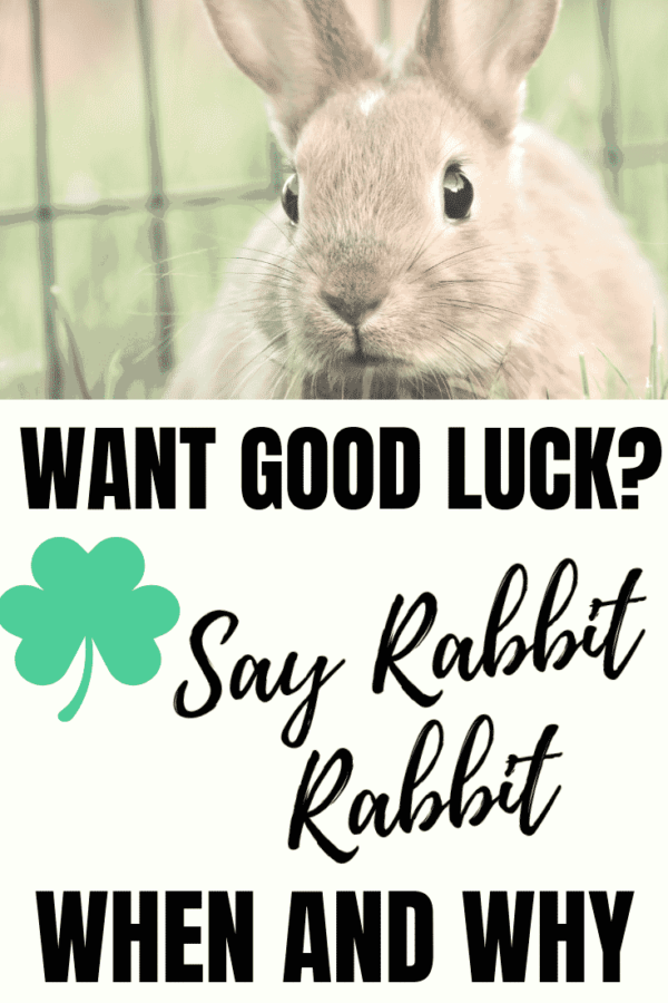 Say 'Rabbit Rabbit' RIGHT NOW And You Will Have Good Luck For The