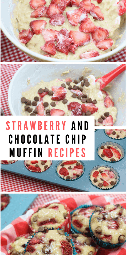 Strawberry and Chocolate Chip Muffin Recipes