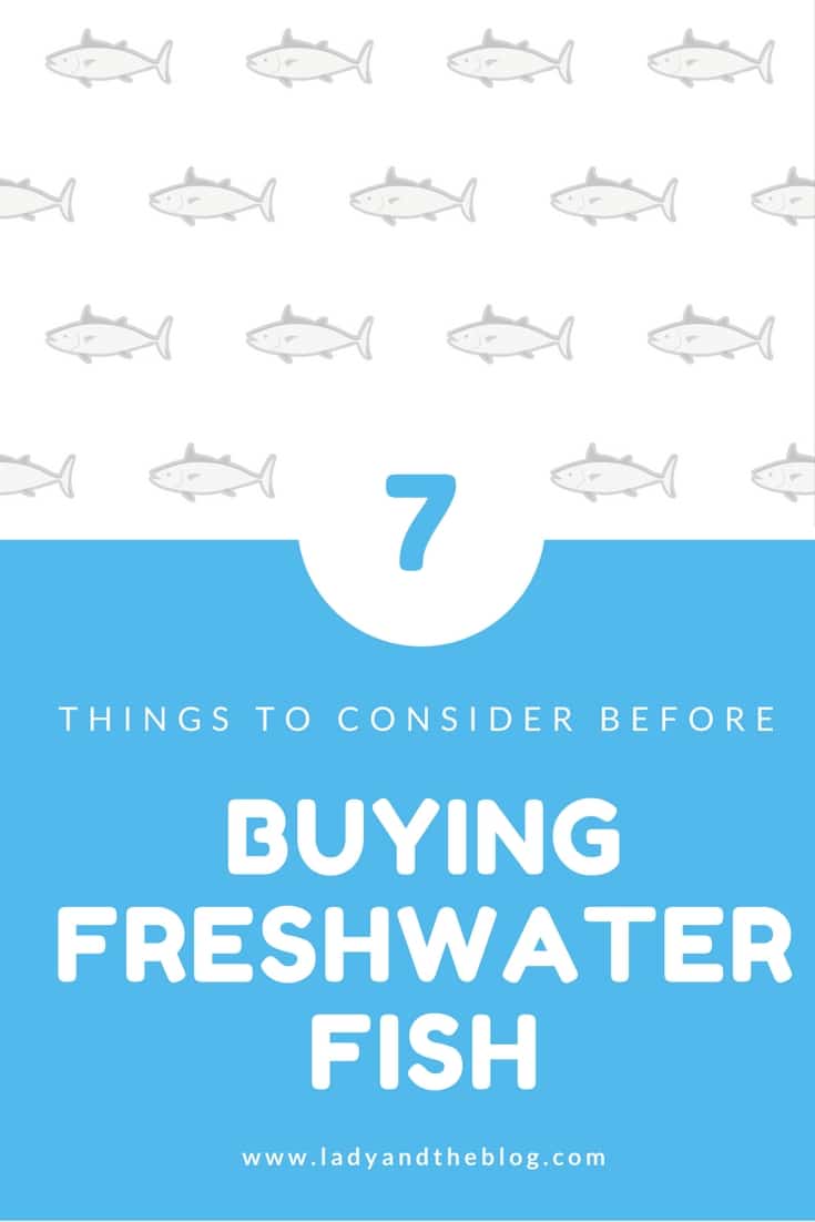 7 Things To Consider Before Buying Freshwater Fish