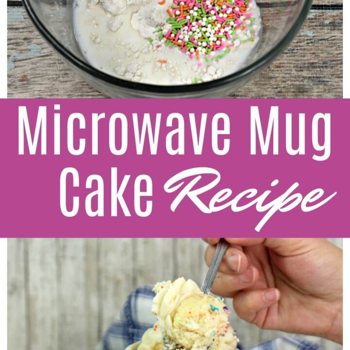 Microwave Mug Cake Recipe