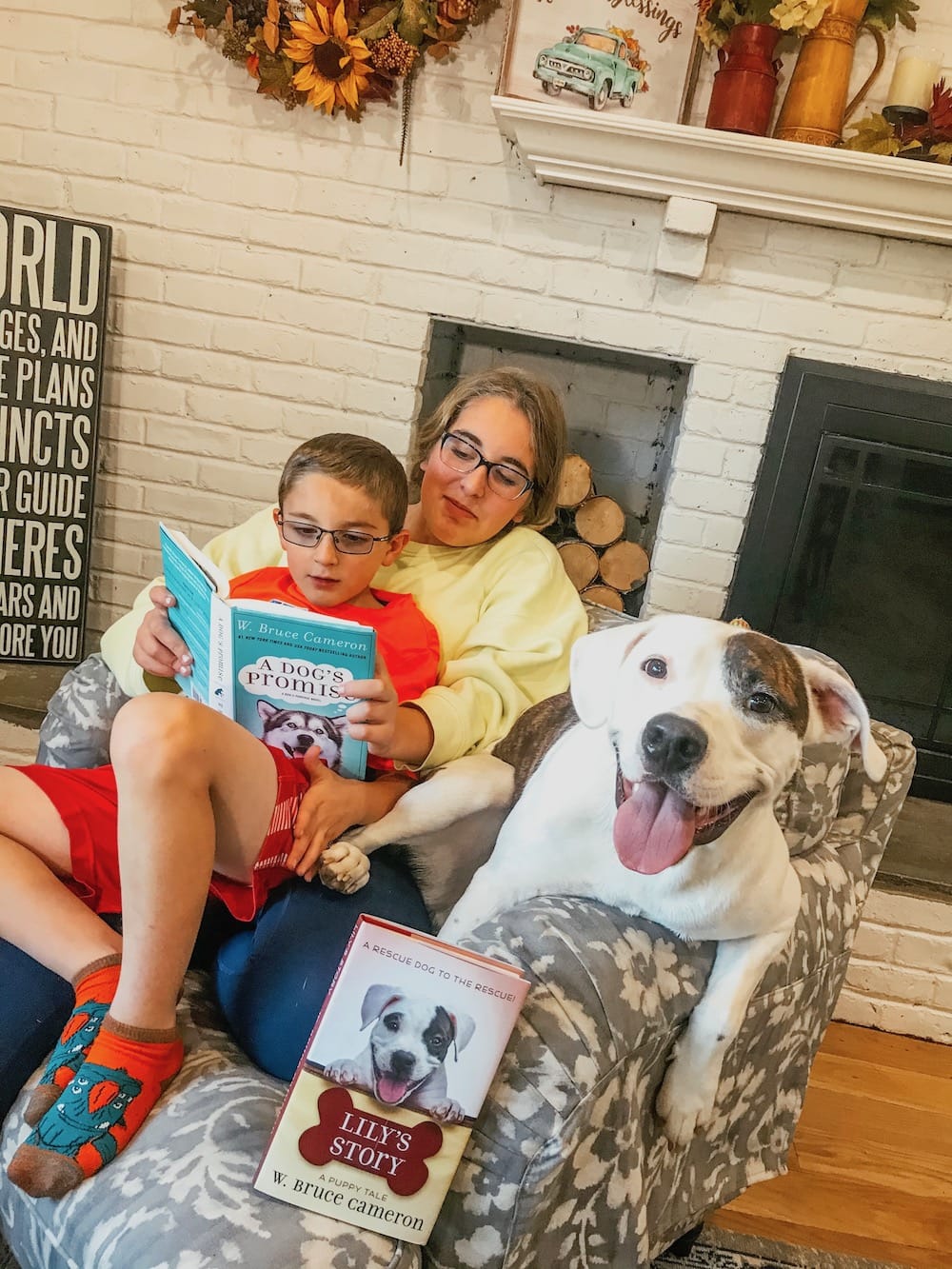 a dogs purpose books