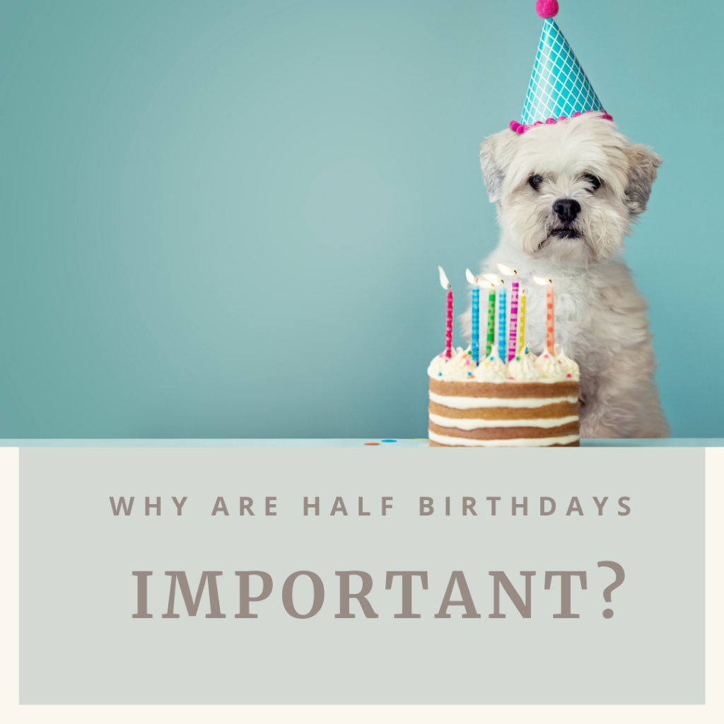 half-birthday-ideas-fun-ways-to-celebrate-with-a-half-birthday-party