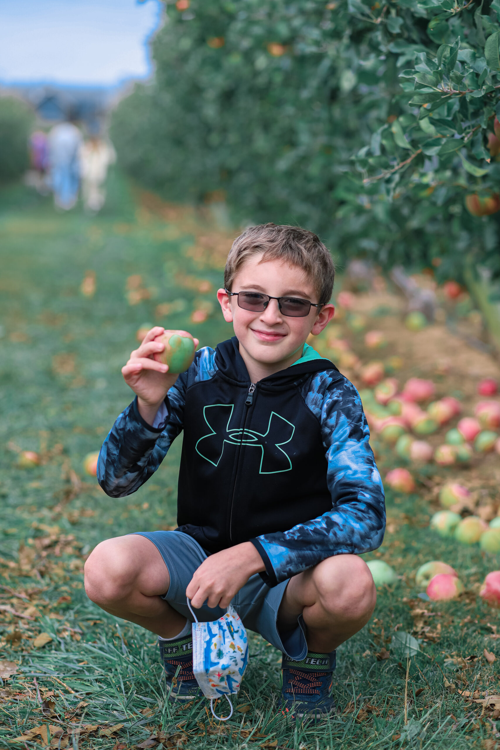 apple picking in the fall
