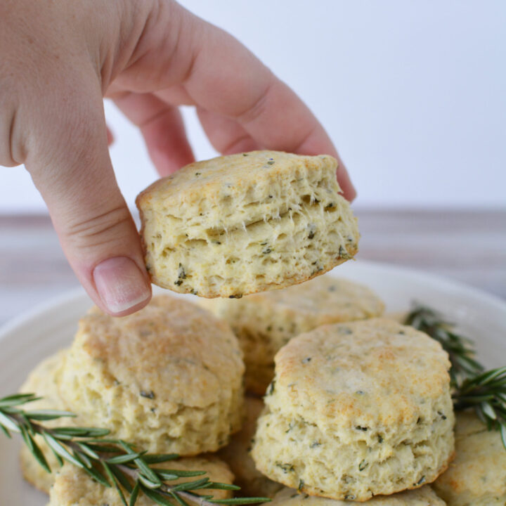 fresh biscuits