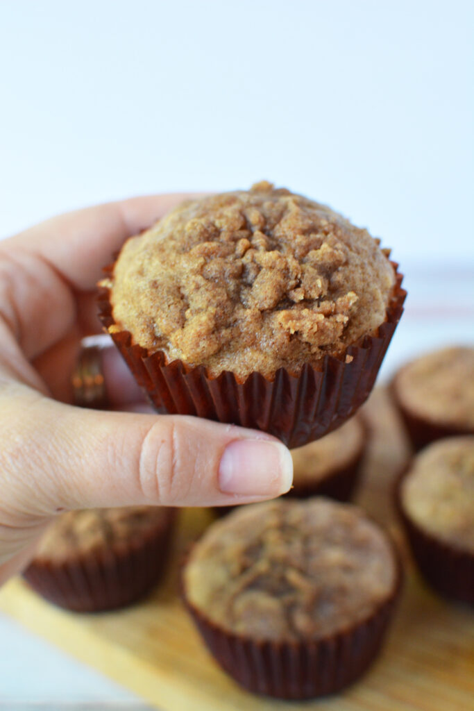 cinnamon oatmeal muffin recipe