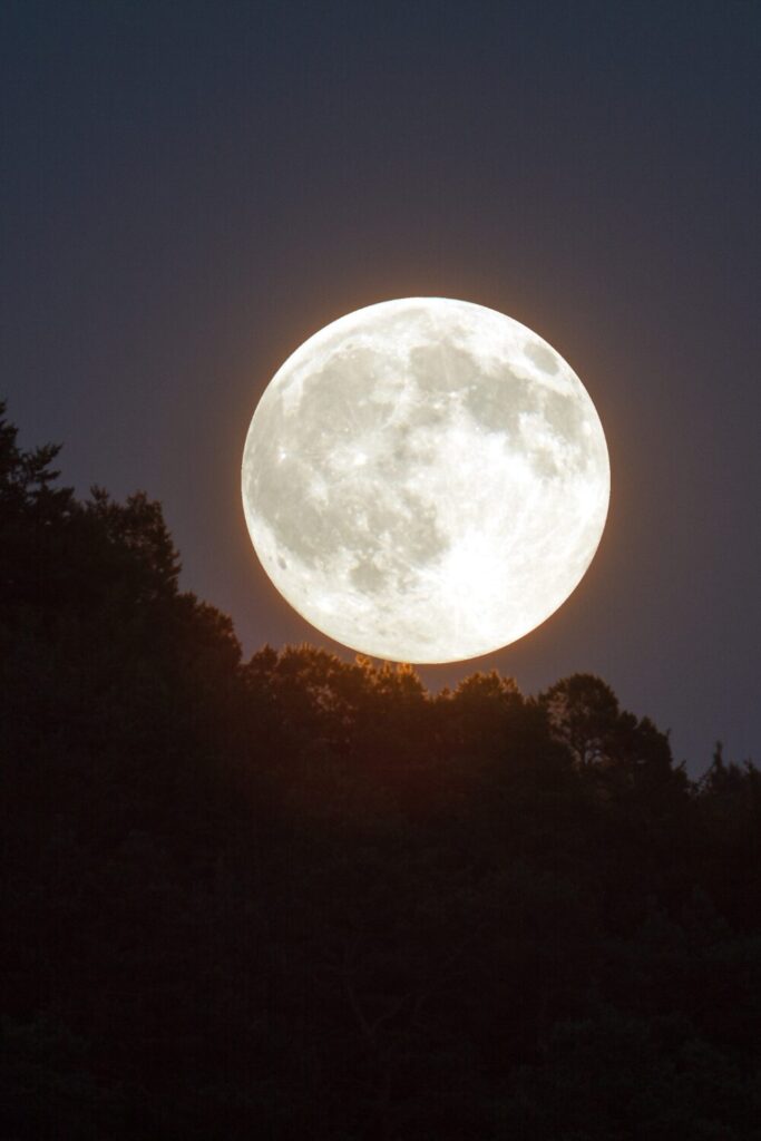 New Moon Rituals
