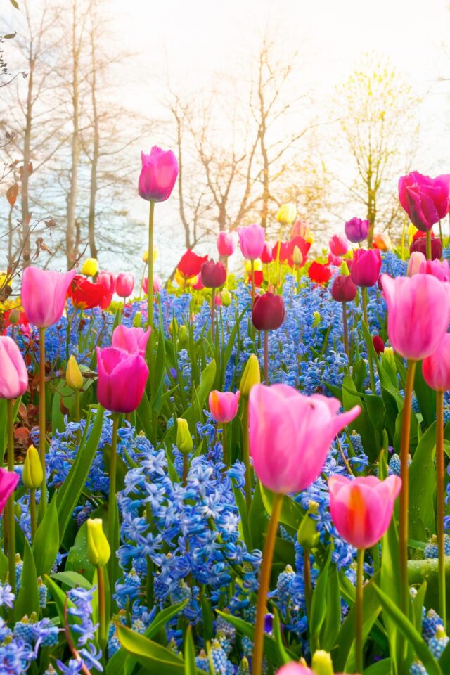Spring Fum Fun And Educational Spring Activities For Kids