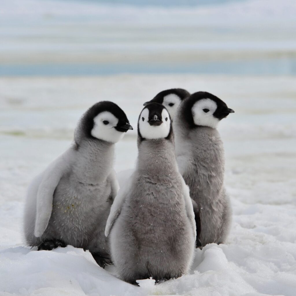 10 unusual January facts