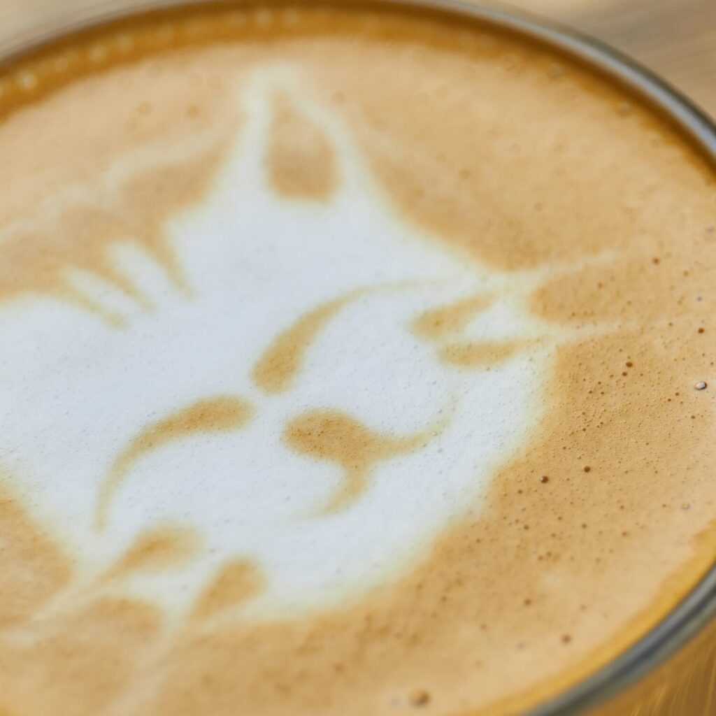 Windy Kitty Coffee shop