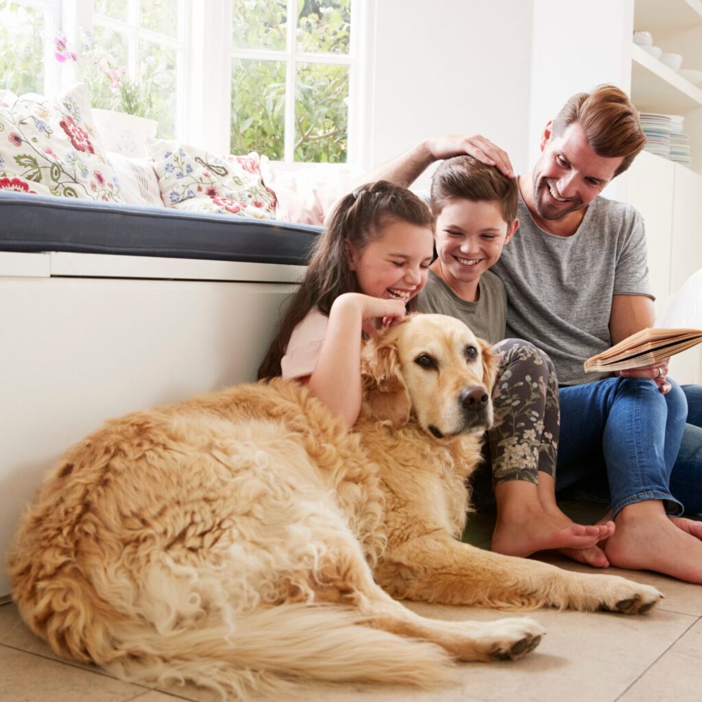 educational experiences