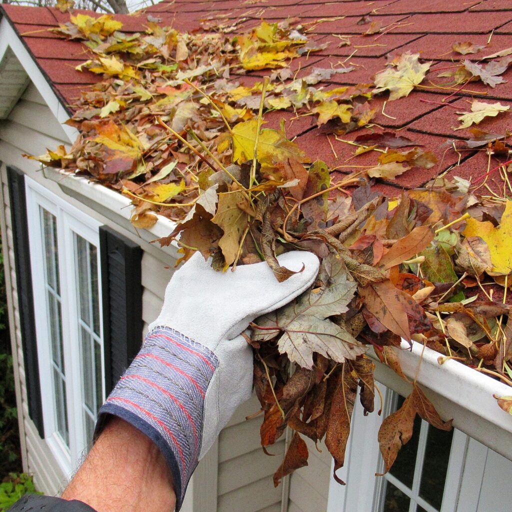 clean gutters