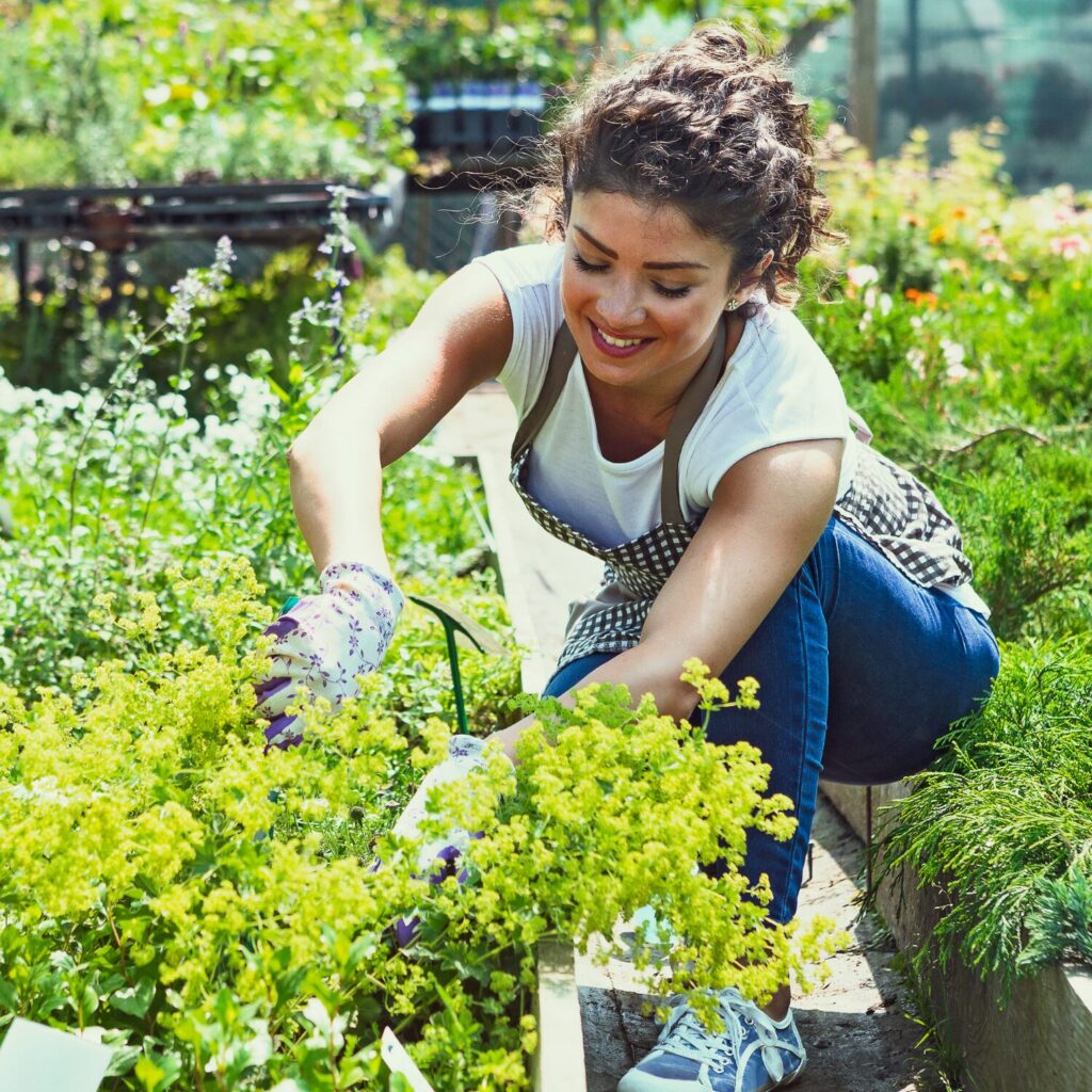 gardener
